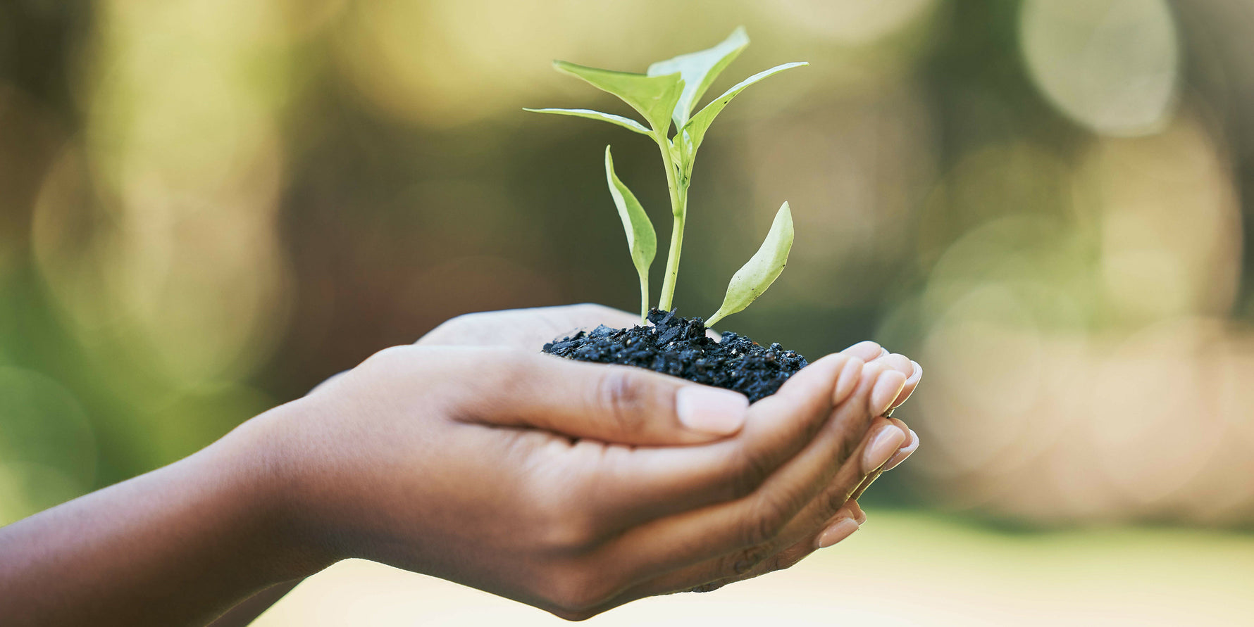 How to Invest in Our Planet on Earth Day 2023 - EZ Melts