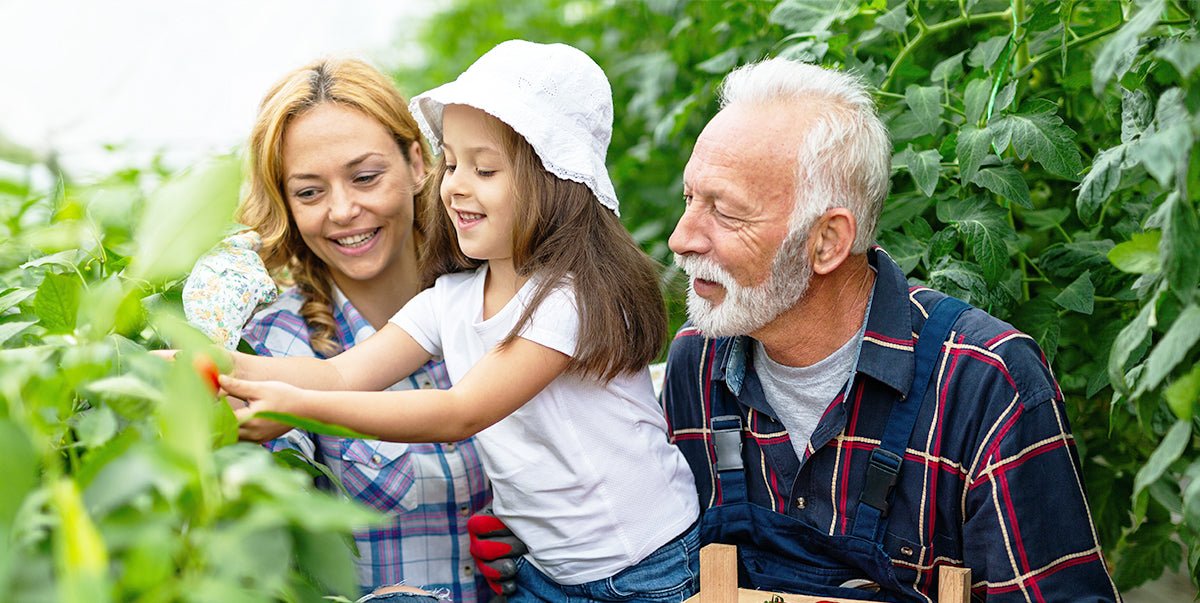 3 Must-Have Cognition Supporting Supplements - EZ Melts