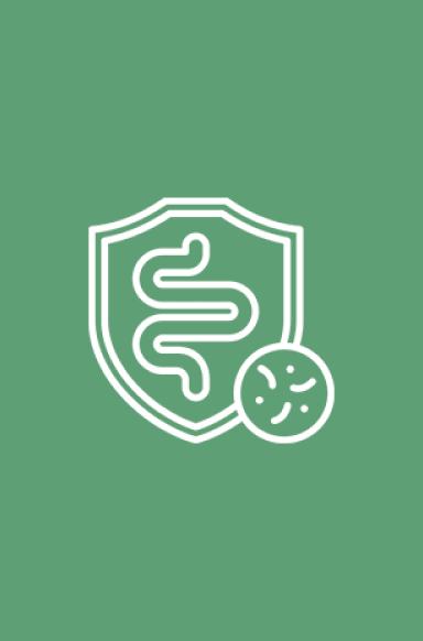 Gut Health - EZ Melts