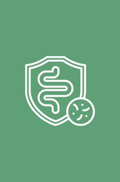Vitamins for Gut Health