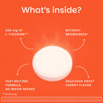 L - Theanine Supplement - EZ Melts