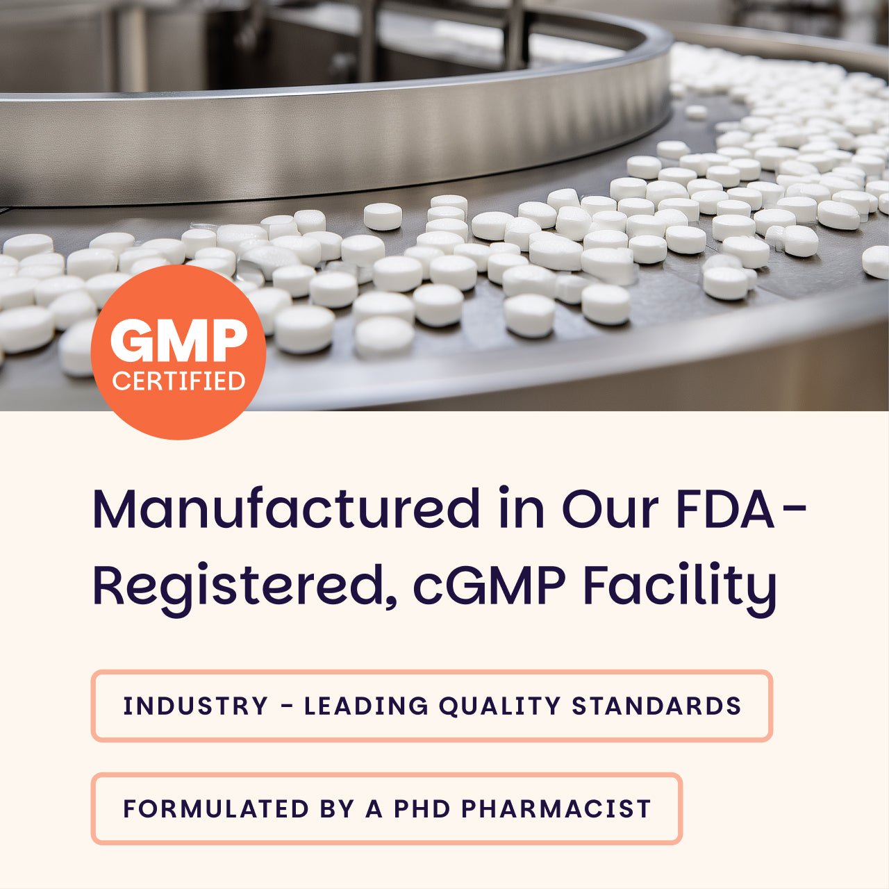 L - Theanine Supplement - EZ Melts