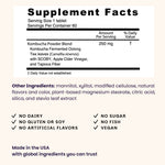 Kombucha Tablets - EZ Melts