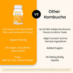 Kombucha Tablets - EZ Melts