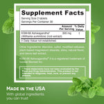 Ashwagandha Supplement - EZ Melts