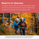 Ubiquinol Supplement - EZ Melts
